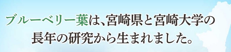 �u���[�x���[���T�C�g